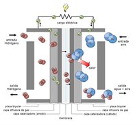 &nbsp;(Ventana Nueva)